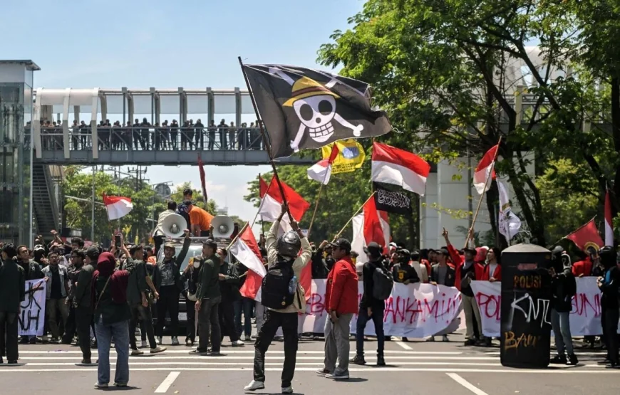 Anti-Government Protestors Popular use of "ONE PIECE" flag causing bans on flag, manga, anime, series.