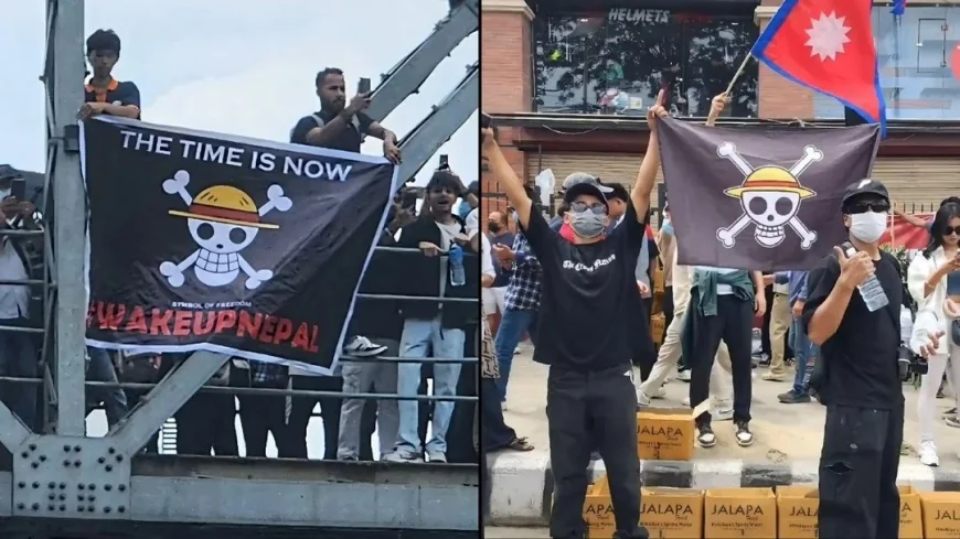 Anti-Government Protestors Popular use of "ONE PIECE" flag causing bans on flag, manga, anime, series.